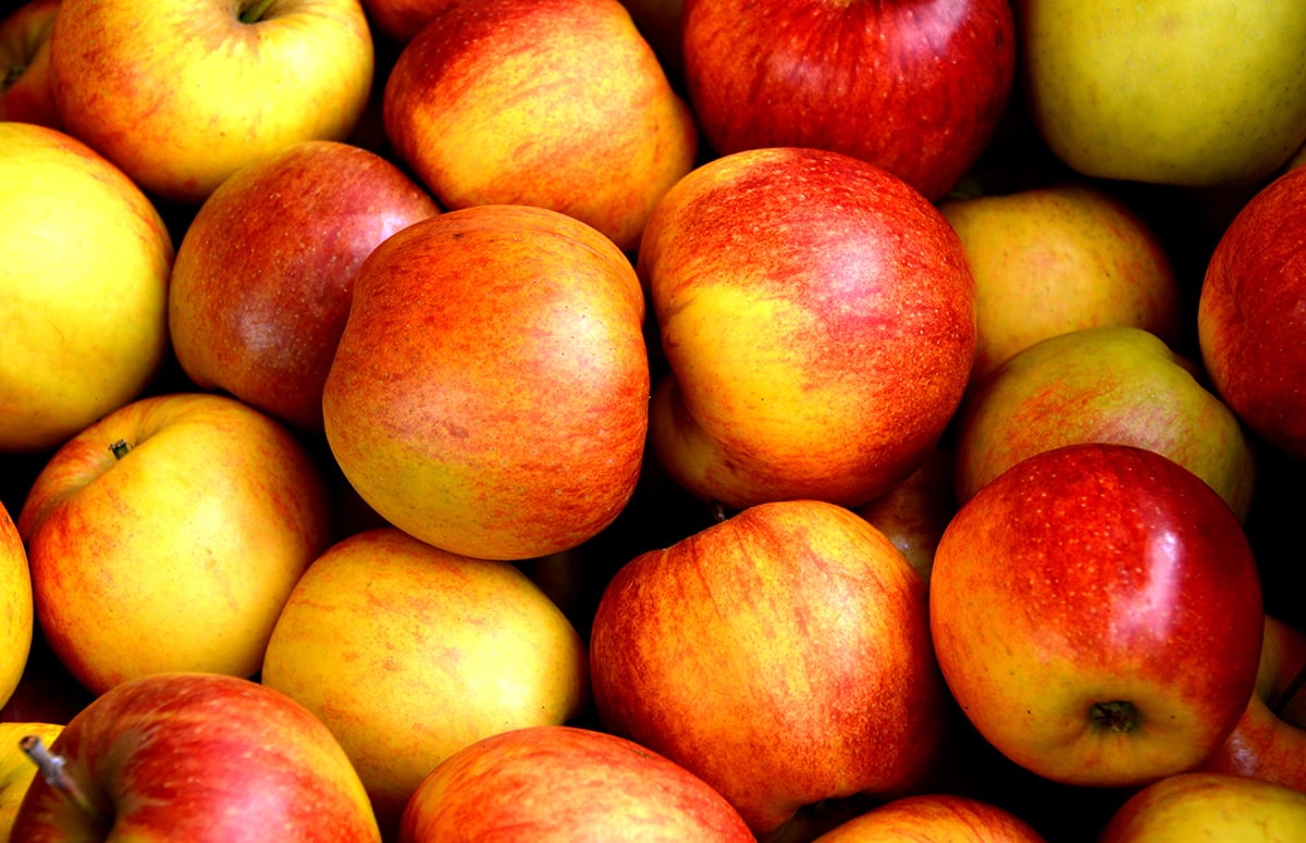 Apple Farm